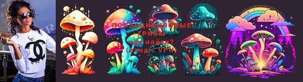 не бодяженный Заводоуковск