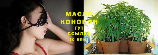 не бодяженный Заводоуковск