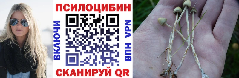 Галлюциногенные грибы Magic Shrooms  Купить где  Короча 